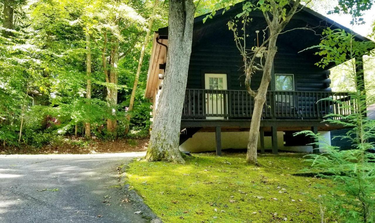 Tanglewood Motel And Log Cabins Maggie Valley Ngoại thất bức ảnh